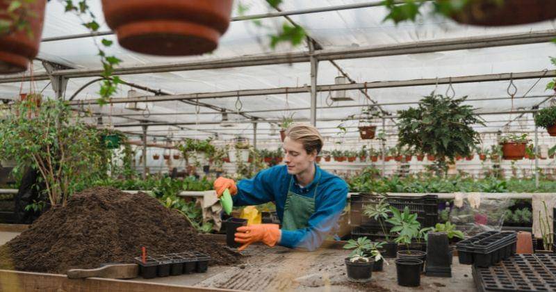 Pexels/Tima Miroshnichenko