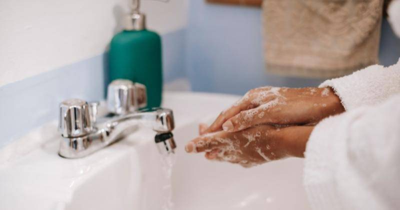 Pexels/Sora Shimazaki