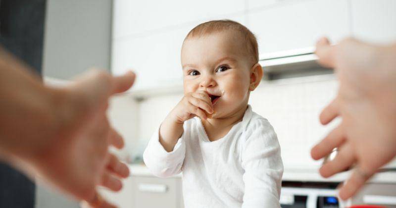 Freepik/cookie_studio