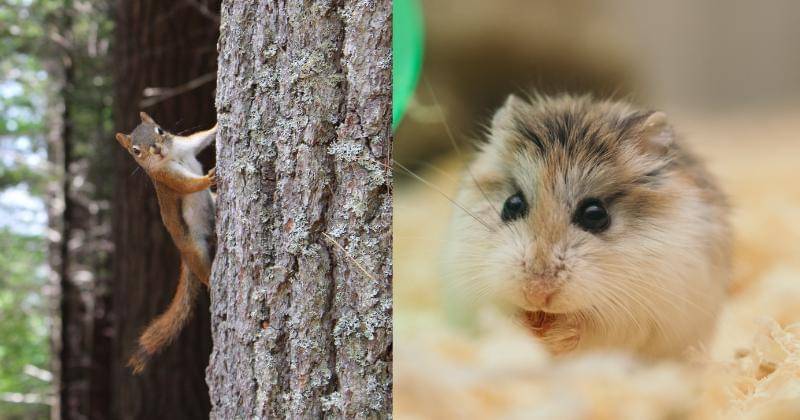 Pexels/Ellie Burgin & Pexels/Maddie Franz