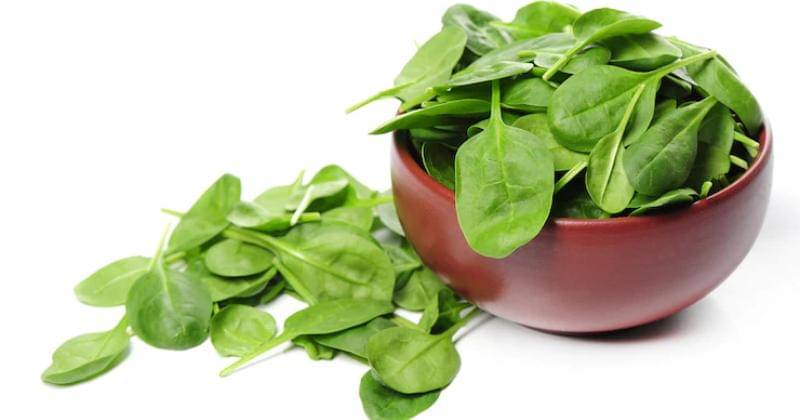 Freepik/Racool Studio