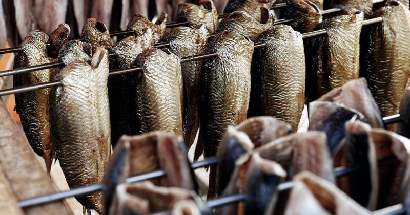 Unsplash/Saskia van Manen