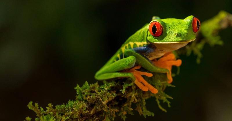 Unsplash/Zdeněk Macháček