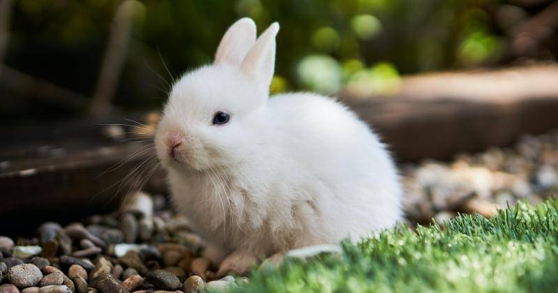 Unsplash/Pablo Martinez