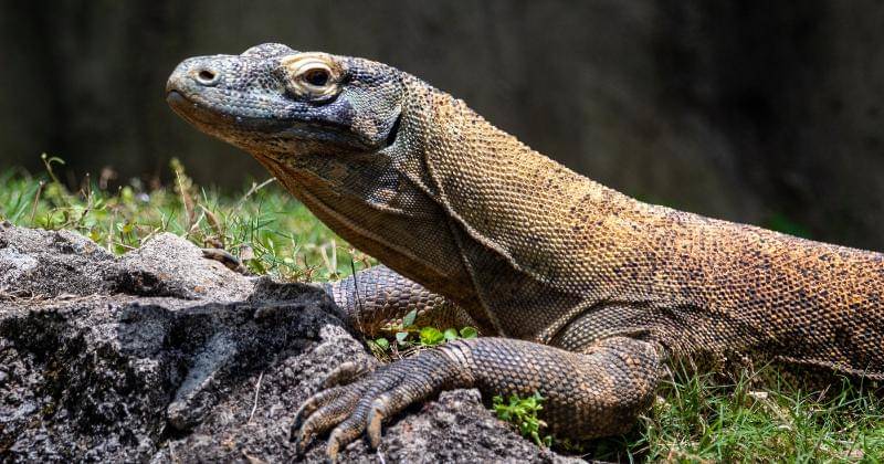 Unsplash/Joshua J. Cotten