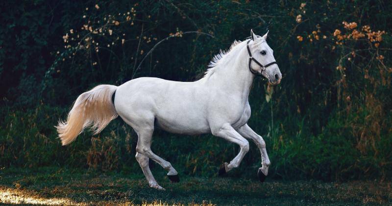 Unsplash/Helena Lopes