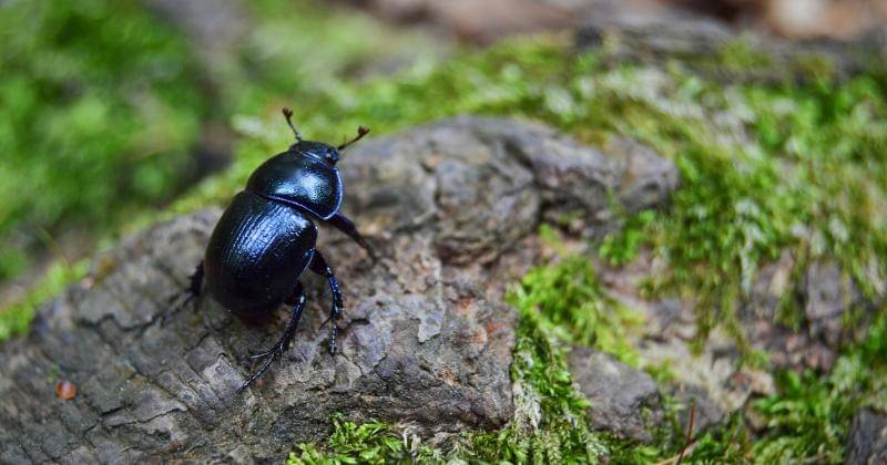 Unsplash/Weronika Romanowska