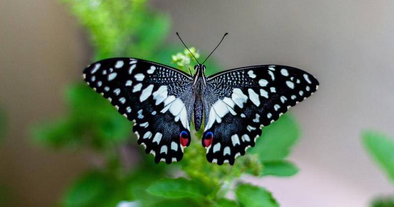 Unsplash/Lenstravelier