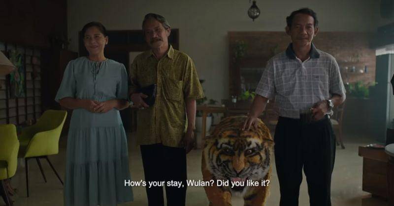 Youtube.com/IDN Pictures