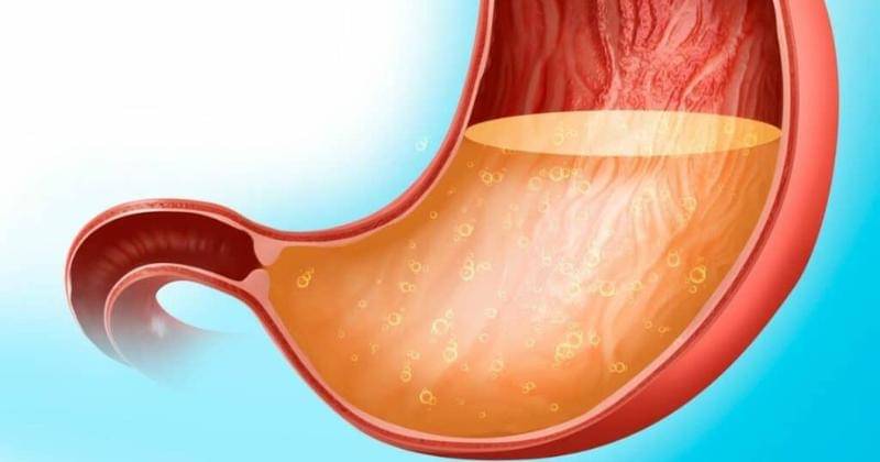 holisticnootropics.com