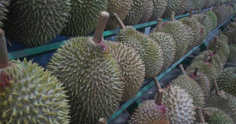 Pixabay/Spencer Wing