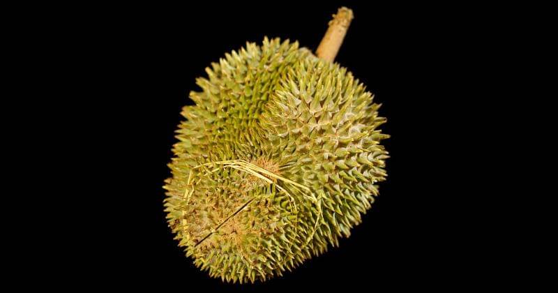 Pixabay/Spencer Wing