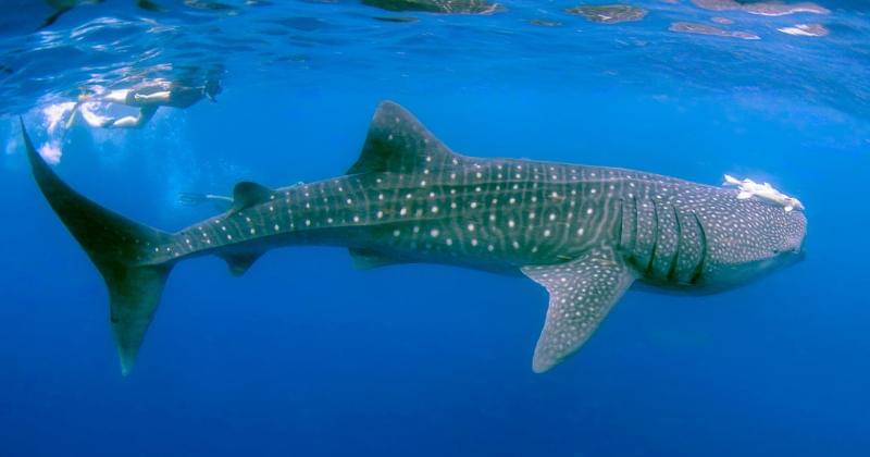 Pexels/Leonardo Lamas