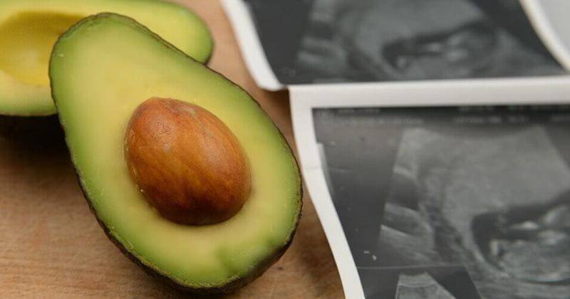 Avocados From Mexico.com