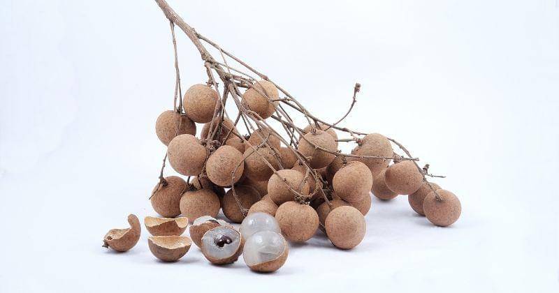 Pixabay/veerasantinithi