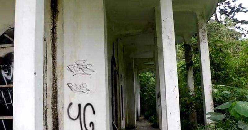 YouTube.com/Athena Fortune