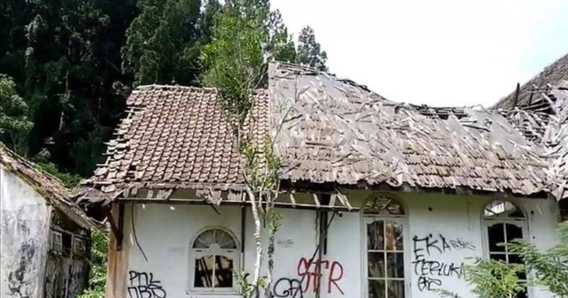 YouTube.com/Athena Fortune