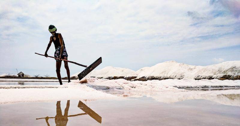 Pexels/Guduru Ajay bhargav