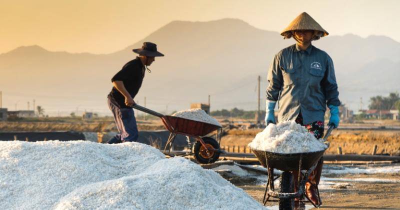 Pexels/Quang Nguyen Vinh