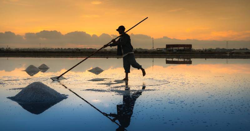 Pexels/Quang Nguyen Vinh