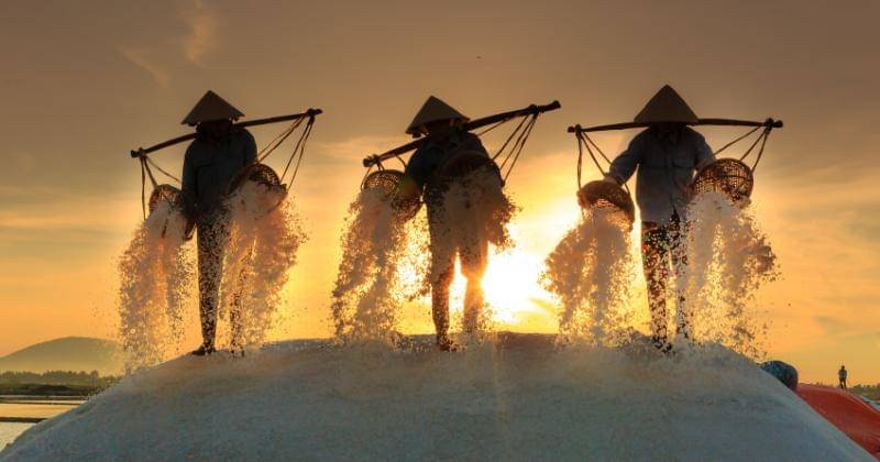 Pexels/Quang Nguyen Vinh