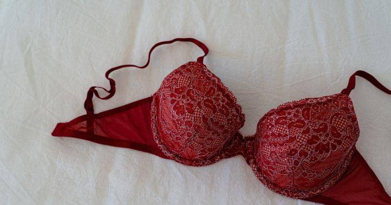 Pexels/Castorly Stock