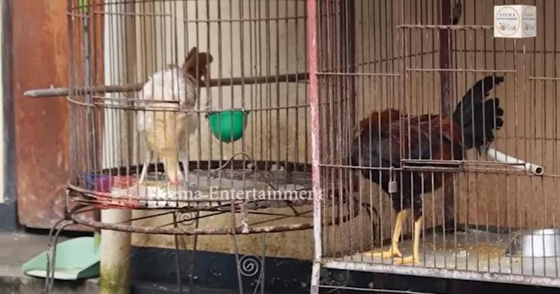 Youtube.com/Keema Entertainment