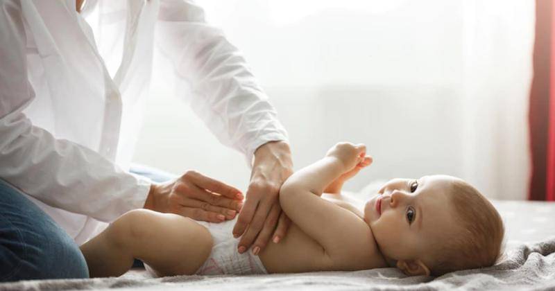 Freepik/cookie_studio