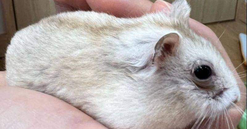 Instagram.com/statchi_world