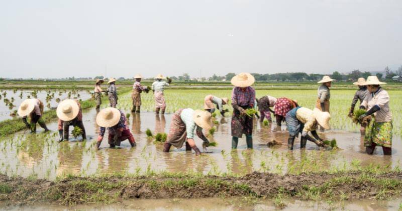 Unsplash/Alejandro Rugama