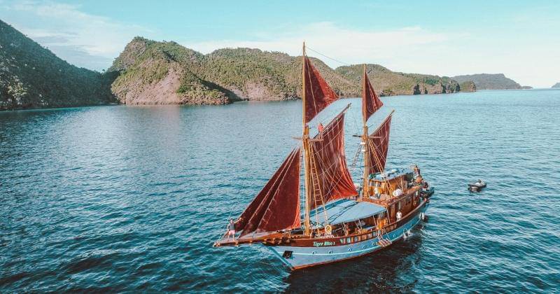 Unsplash/Johnny Africa