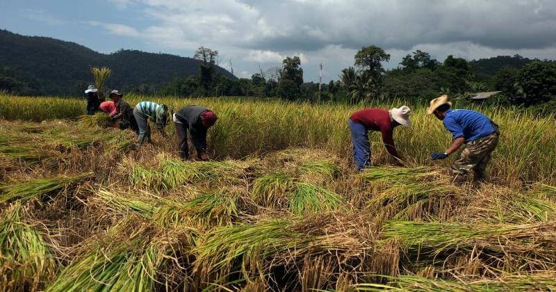 Unsplash/Boudewijn Huysmans