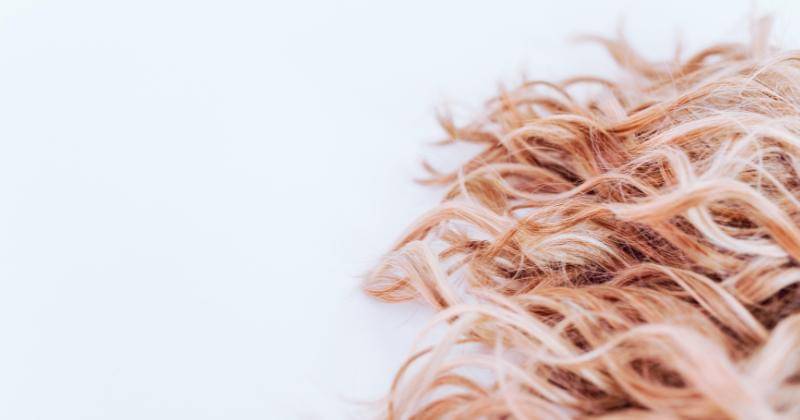 Pexels/RODNAE Productions