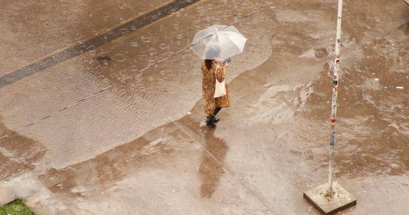 Pexels/Mauricio Bertoni