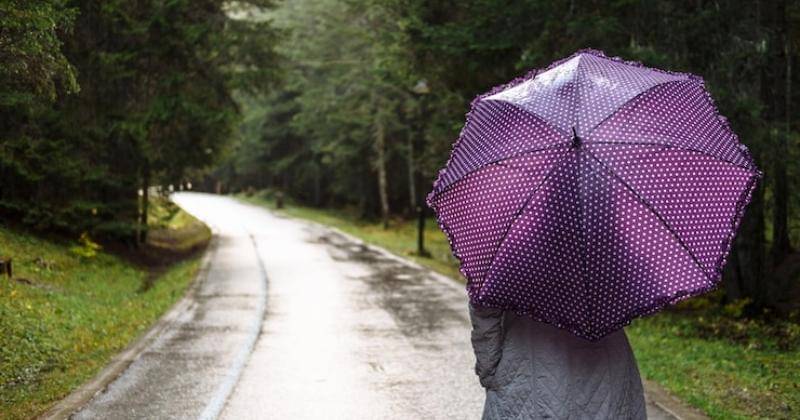 Freepik/Boyarkinamarina