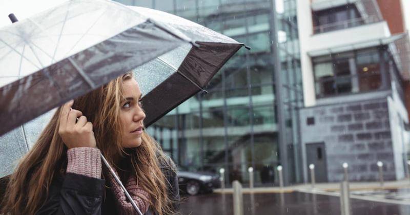 Freepik/ Wavebreakmedia_micro