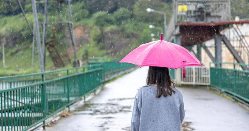 Freepik/PV Productions