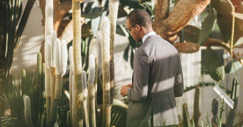 Unsplash/Andreas Rønningen