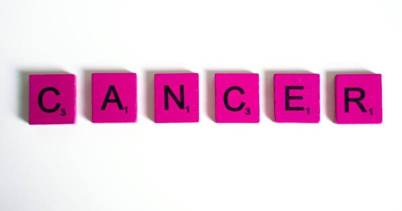 .pexels.com/anntarazevich/