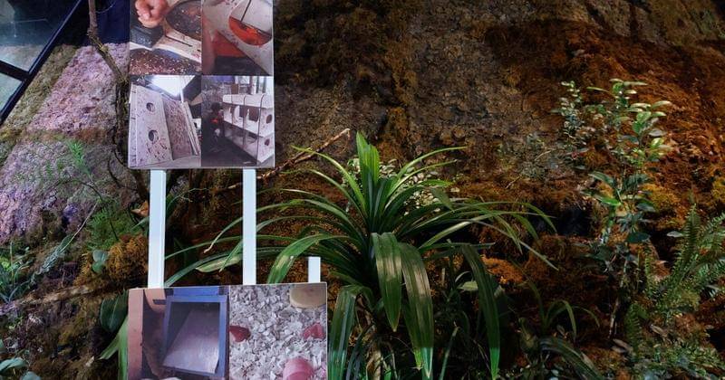 Popmama.com/Aurelia Lois Bernadette