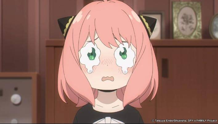 Instagram/spyfamily_es