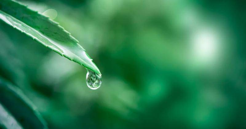 Freepik/Rawpixel.com