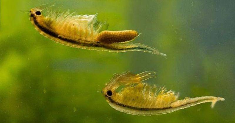 Instagram.com/autoctonosdeuguay