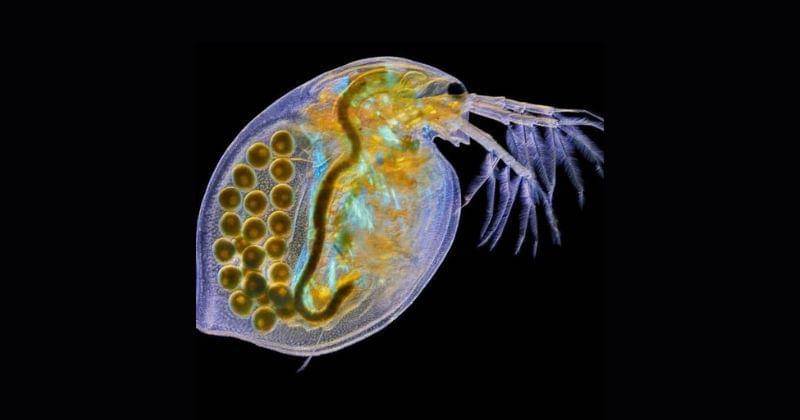 Instagram.com/science_learning.point