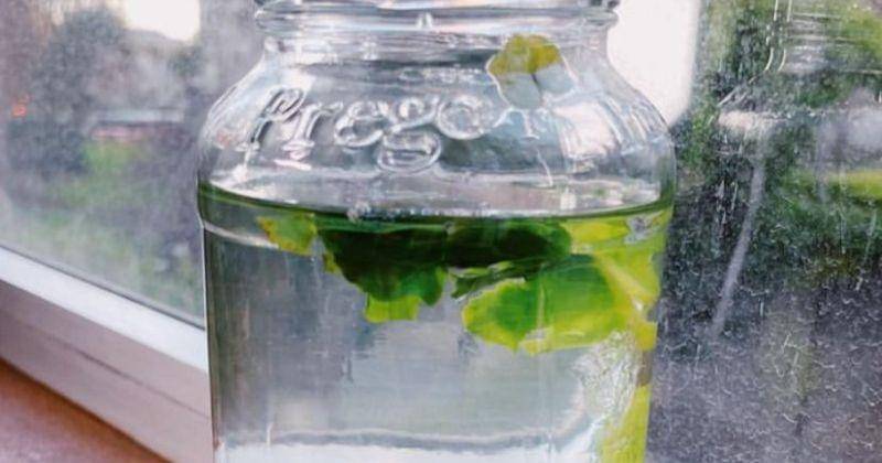 Instagram.com/yoshelbey