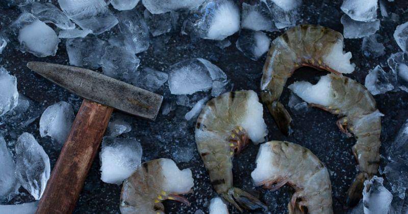 Pexels/Valeria Boltneva