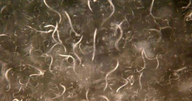 Instagram.com/cabin_aquarium