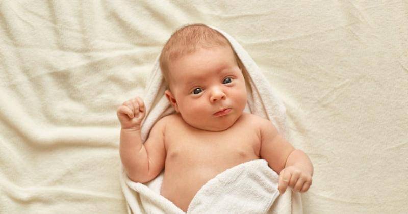 Freepik/user18526052