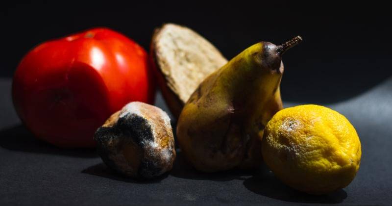 Unsplash/Anita Jankovic