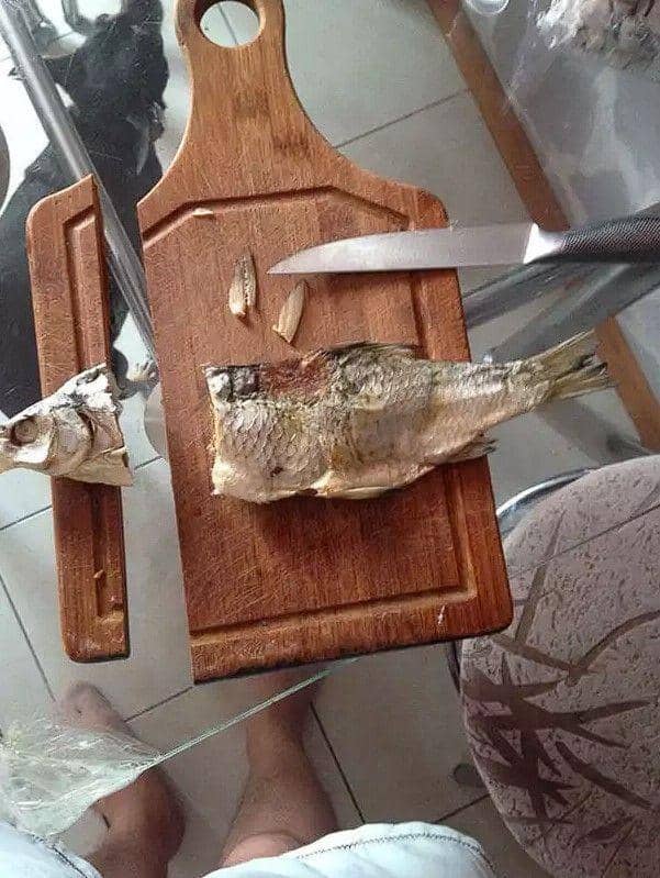 Bantu potong ikan, talenan malah ikut terpotong